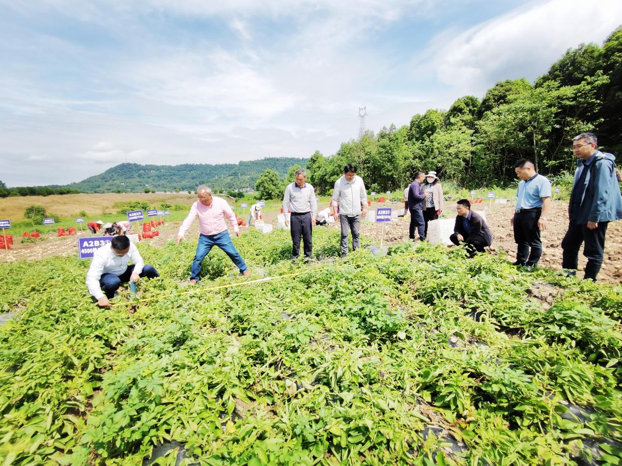 ef266ee2-d638-449a-8c8f-540bafef8504 ef266ee2-d638-449a-8c8f-540bafef8504