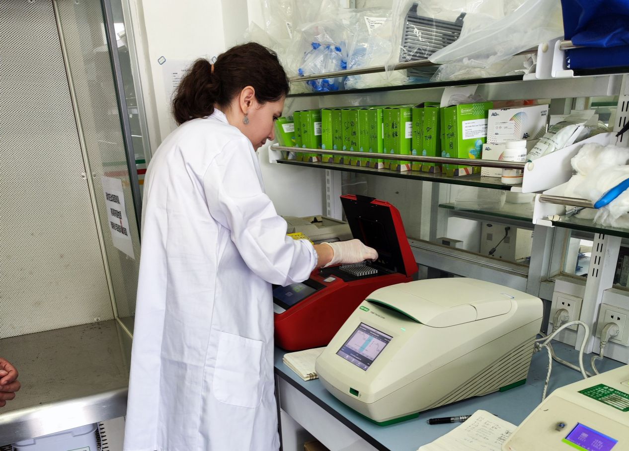 Bibigul in lab Bibigul in lab